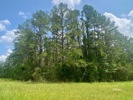 Property in Houston County, Texas