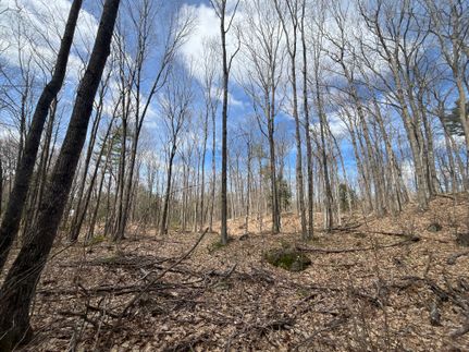 Property in Androscoggin County, Maine