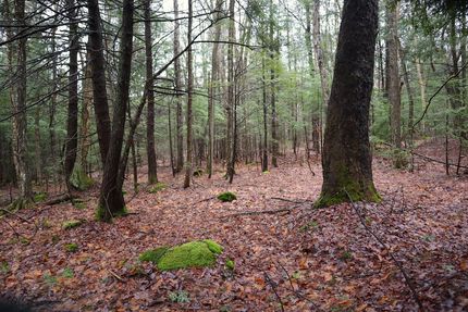 Property in Fulton County, New York