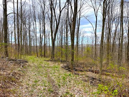 Property in Chautauqua County, New York