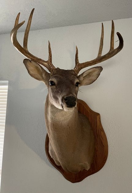 Property in Taylor County, Texas