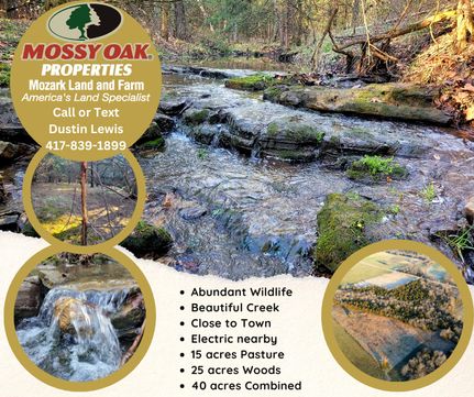 Property in Polk County, Missouri