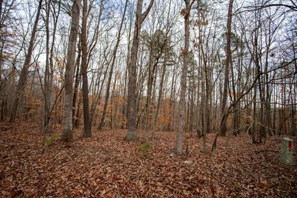 Property in Campbell County, Virginia