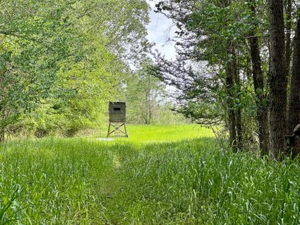 Property in Richland Parish, Louisiana