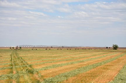 Property in Union County, New Mexico