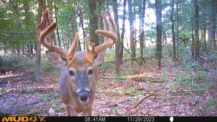 Property in Adams County, Wisconsin