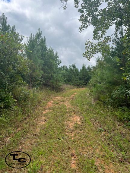 Property in Tuscaloosa County, Alabama