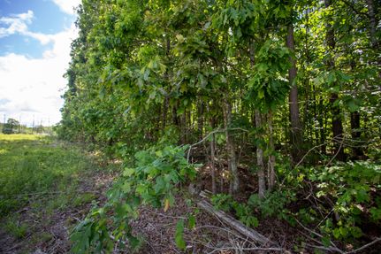 Property in Halifax County, Virginia