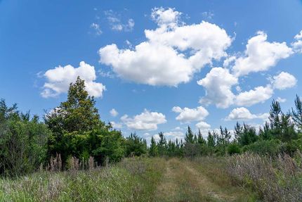 Property in Calhoun County, Florida