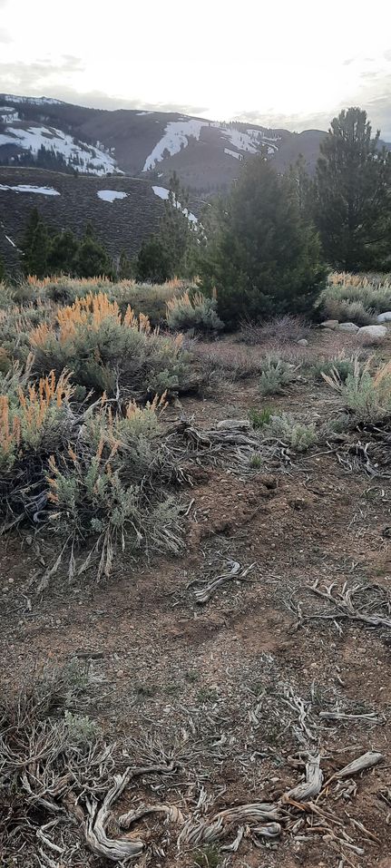 Property in Mono County, California