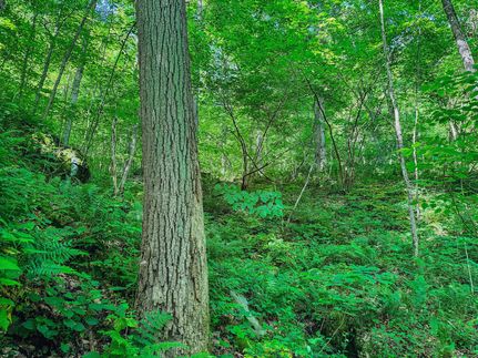 Property in Marion County, West Virginia