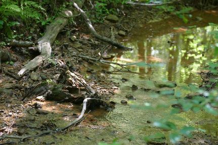 Property in Blount County, Alabama