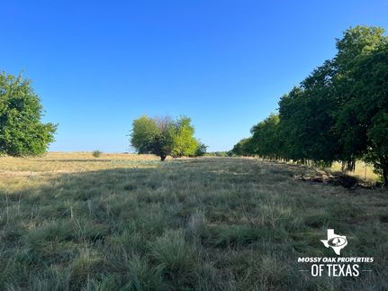 Property in Cooke County, Texas