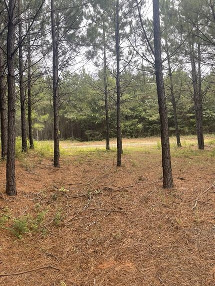 Property for sale in Shelby County, Texas