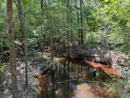 Property for sale in Vernon Parish, Louisiana