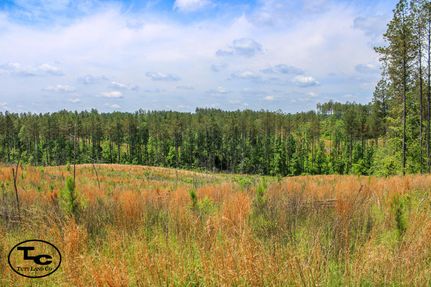 Property for sale in Chester County, Tennessee