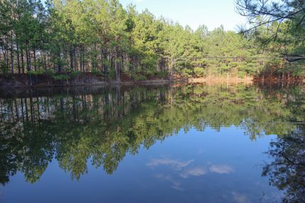 Property in Jackson Parish, Louisiana