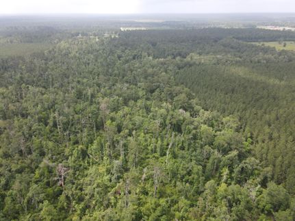 Property for sale in Allen Parish, Louisiana