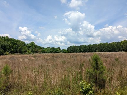 Property in Darlington County, South Carolina