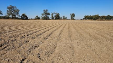 Property in Bolivar County, Mississippi