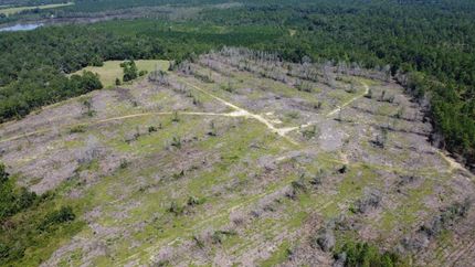 Property in Bulloch County, Georgia