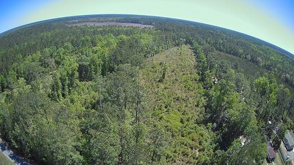 Property in Camden County, Georgia