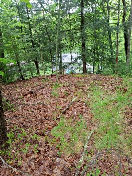 Property in Strafford County, New Hampshire