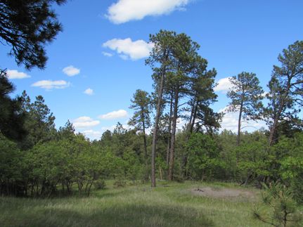 Property in Crook County, Wyoming