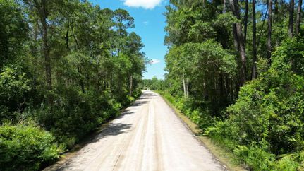 Property in Lowndes County, Georgia