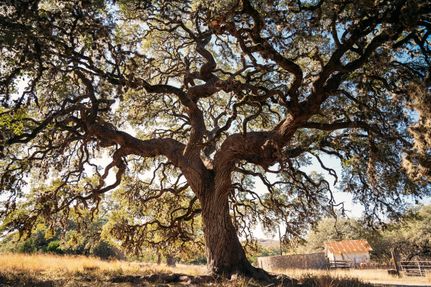 Property in Bexar County, Texas