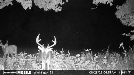 Property in Washington County, Mississippi