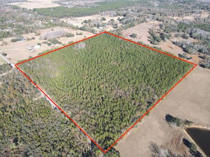 Property in Walton County, Florida