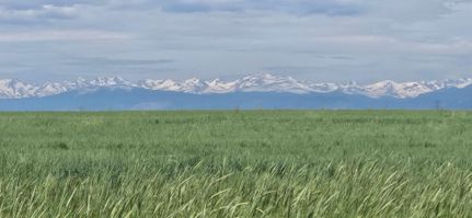 Property in Weld County, Colorado