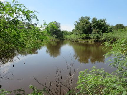 Property for sale in Guadalupe County, Texas