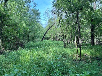 Property in Avoyelles Parish, Louisiana