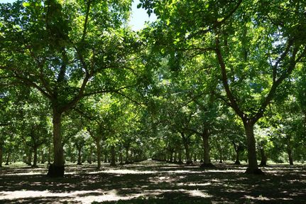 Property in Butte County, California