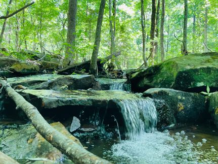 Property in Jackson County, Alabama