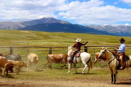 Property for sale in Park County, Colorado