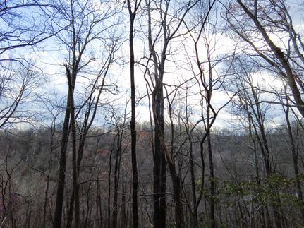 Property in Gallia County, Ohio