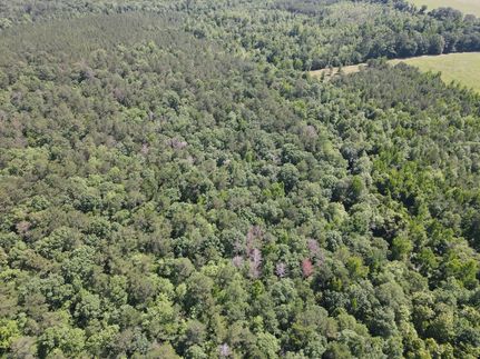 Property in Conecuh County, Alabama