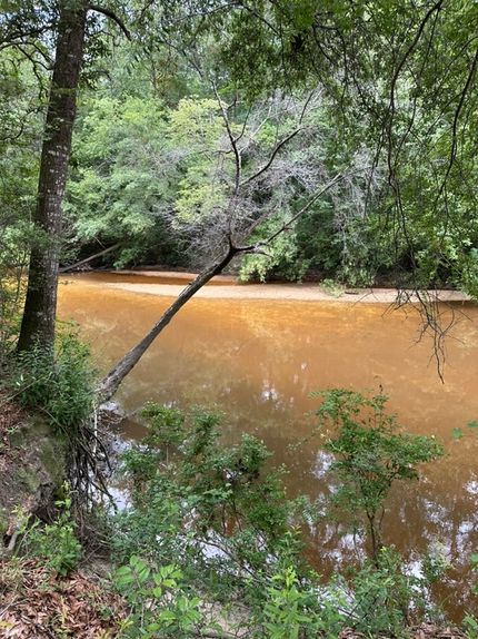 Property in Escambia County, Alabama