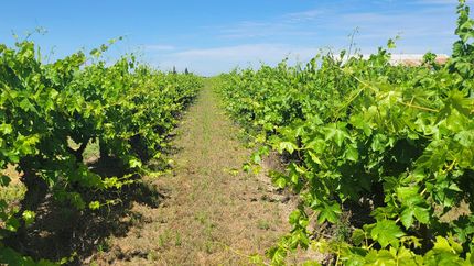 Property in Fresno County, California