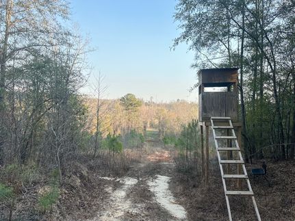 Property in Perry County, Alabama