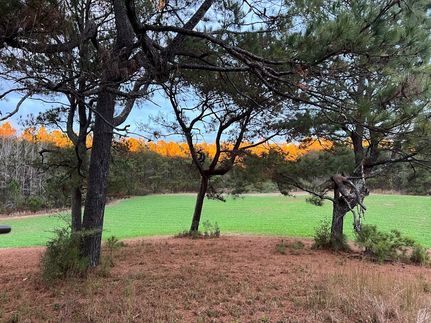 Property in Coosa County, Alabama