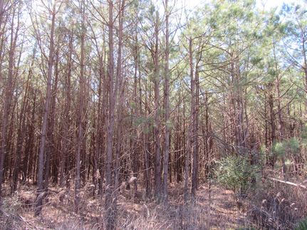 Property for sale in Jefferson County, Arkansas