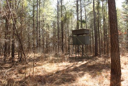 Property in Jefferson County, Arkansas