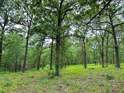 Property in Saint Clair County, Missouri