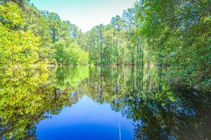 Property in Tyler County, Texas