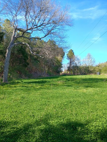 Property in Marion County, Alabama