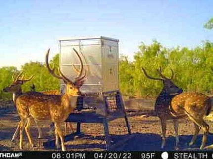 Property in McCulloch County, Texas